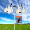 Purple Martin Gourds with Hanging Bracket and Pole Kit