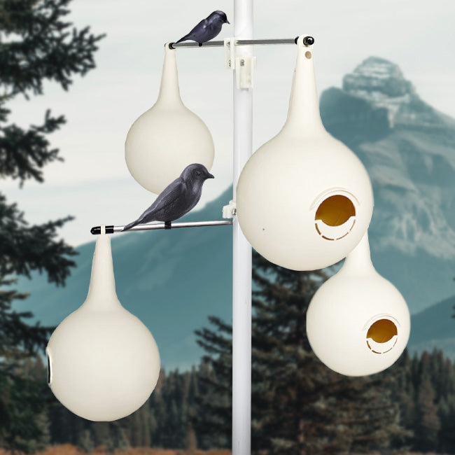 Classic Purple Martin Gourds and Pole Package