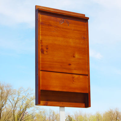 Bat House, Single-Celled, 100 bats