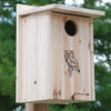 Premium Screech Owl or Kestrel House