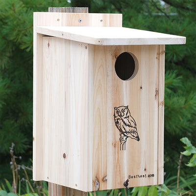 Premium Screech Owl or Kestrel House