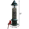 Brome Squirrel Buster Plus Squirrel Proof Bird Feeder