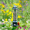 Brome Squirrel Buster Plus Squirrel Proof Bird Feeder