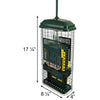 Brome Squirrel Buster Suet Feeder