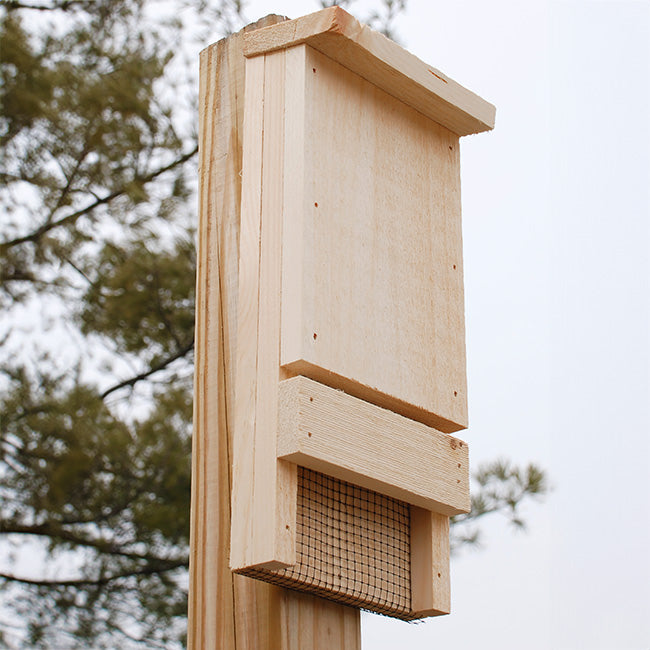 Mini Bat House, 12 bats