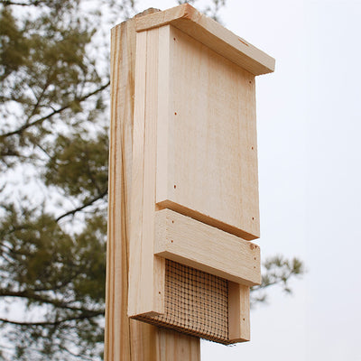 Mini Bat House, 12 bats