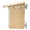 Window Nest Box