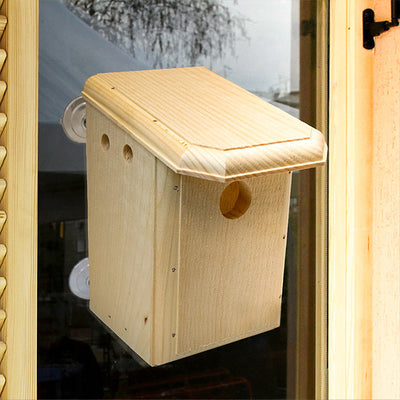 Window Nest Box