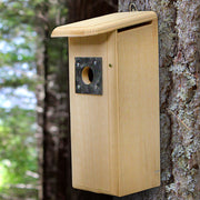 Downy Woodpecker House