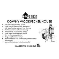 Downy Woodpecker House - BirdHousesAndBaths.com