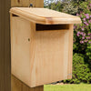 Sparrow-Resistant Western Bluebird House