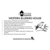 Western Bluebird House