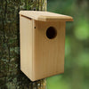 Flycatcher Bird House