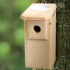 Open-Top Eastern Bluebird House