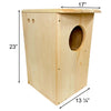Coveside Barred Owl House