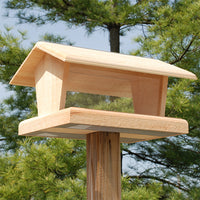 Hopper Bird Feeder - BirdHousesAndBaths.com