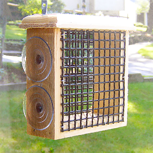 Window Suet Feeder