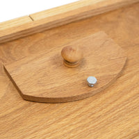 Panoramic In-House Bird Feeder with Mirrored Back