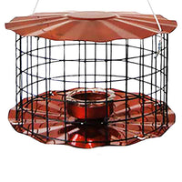 Caged Bluebird Feeder, Copper Colored