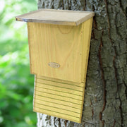 Small Bat House, 12 bats