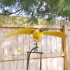 Flying Finch Rocker Garden Stake, 50"H