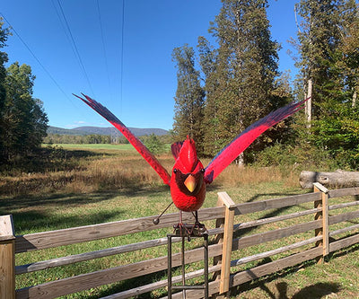 GIANT Flying Cardinal Rocker Garden Stake, 84
