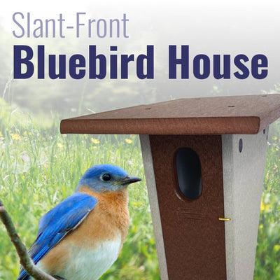 Recycled Plastic Slant-Front Bluebird House, Brn
