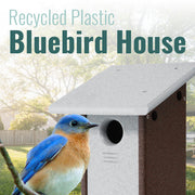 Recycled Plastic Bluebird House, Gray and Brown