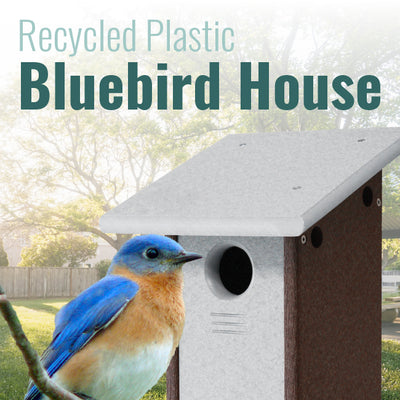 Recycled Plastic Bluebird House, Gray and Brown