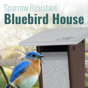 Recycled Plastic Sparrow Resistant Bluebird House