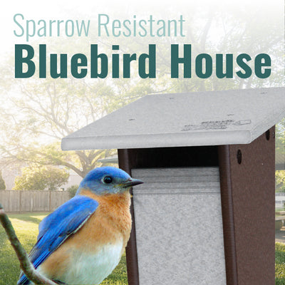 Recycled Plastic Sparrow Resistant Bluebird House