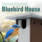 Recycled Plastic Sparrow Resistant Bluebird House