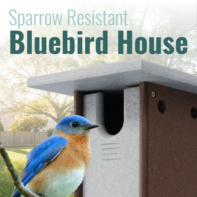 Recycled Plastic Sparrow Resistant Bluebird House