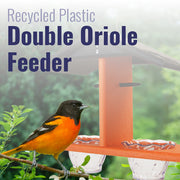 Recycled Plastic Double Oriole Feeder, Black/Orange