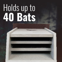 Recycled Plastic Triple Cell Bat House, 40 bats