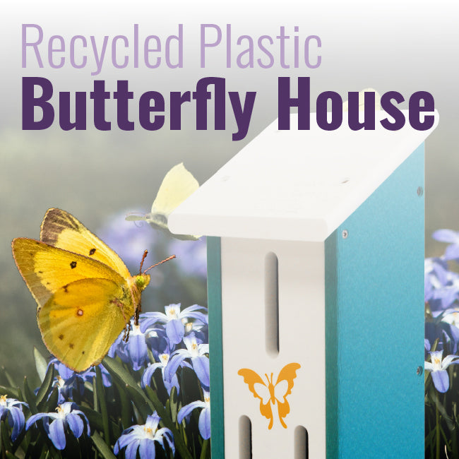 Recycled Plastic Butterfly House, White and Teal