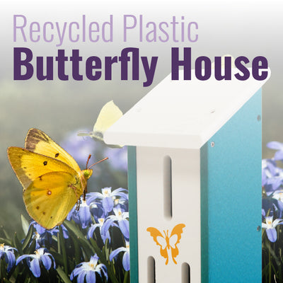 Recycled Plastic Butterfly House, White and Teal