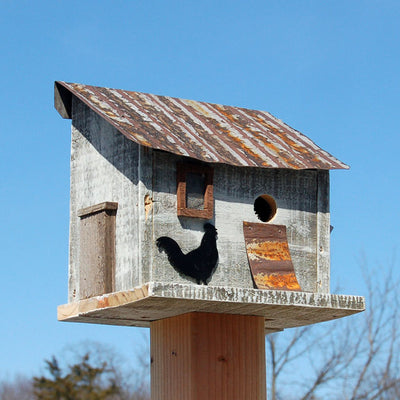 Cumberland Chicken Coop Bird House