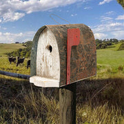 Mercer Mailbox Bird House