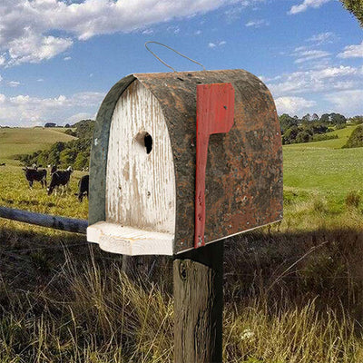 Mercer Mailbox Bird House