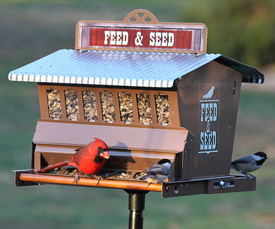 Heritage Farms Absolute Weight Sensitive Feed & Seed Bird Feeder - BirdHousesAndBaths.com