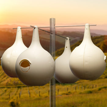 Wild Bird Lover's Two-Piece Purple Martin Gourds, Pack of 4