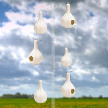Wild Bird Lover's Single Purple Martin Gourds, Pack of 6
