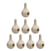 Wild Bird Lover's Single Purple Martin Gourds, Pack of 8