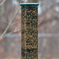 Magnet Squirrel Resistant Bird Feeder
