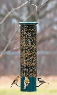 Magnet Squirrel Resistant Bird Feeder