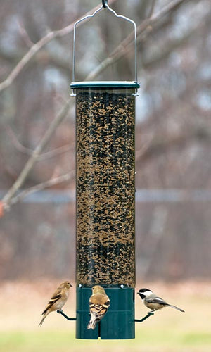 Magnet Squirrel Resistant Bird Feeder