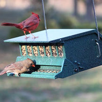 Bird's Choice Squirrel Proof Bird Feeder, Green