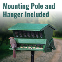 Absolute II Double Sided Bird Feeder with Pole & Hanger