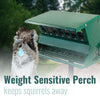 Absolute II Double Sided Bird Feeder with Pole & Hanger